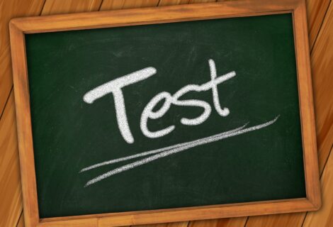 Guvernul Niculescu la test: trei predicții înainte de vot